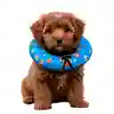 Dona Para Mascotas Color Celeste Con Diseño De Mario Bross Talla Xs