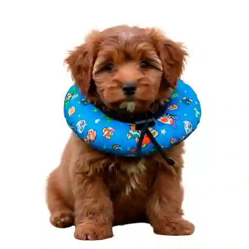 Dona Para Mascotas Color Celeste Con Diseño De Mario Bross Talla Xs