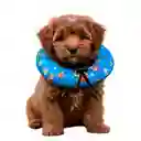 Dona Para Mascotas Color Celeste Con Diseño De Mario Bross Talla Xs