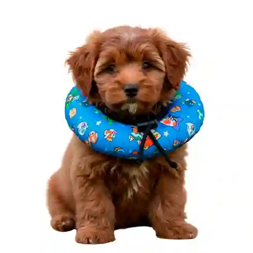 Dona Para Mascotas Color Celeste Con Diseño De Mario Bross Talla Xs