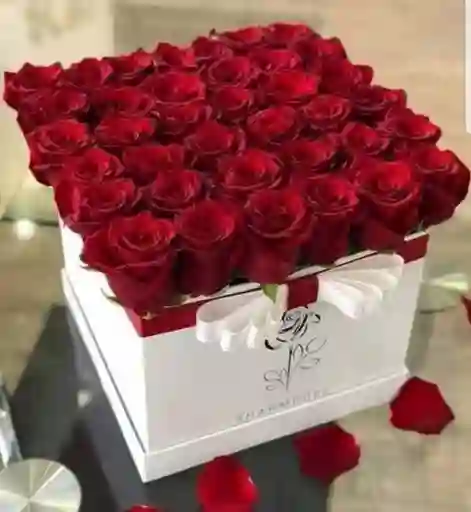 Caja Premium Con 24 Rosas Rojas