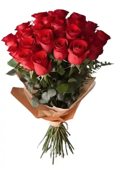 Ramo De Rosas Rojas 24 Tallos