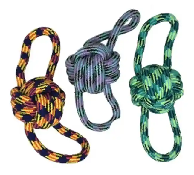 Trenza Collie Multicolor