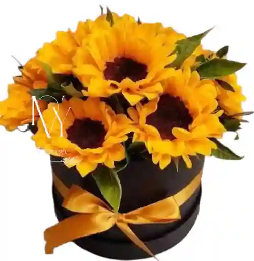 Flores Girasoles En Cilindro