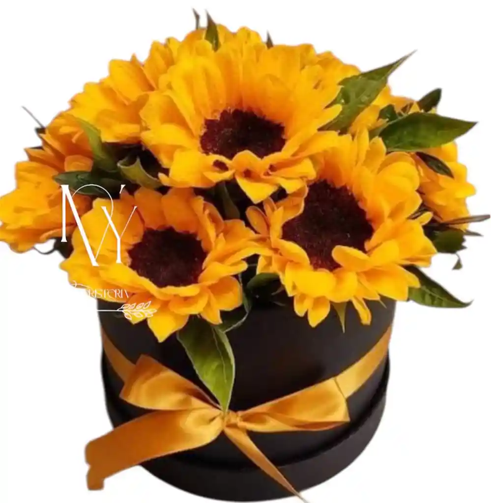 Flores Girasoles En Cilindro