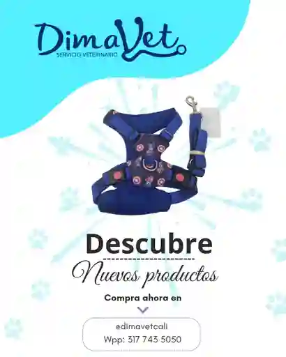 Pechera Capitan America Talla M