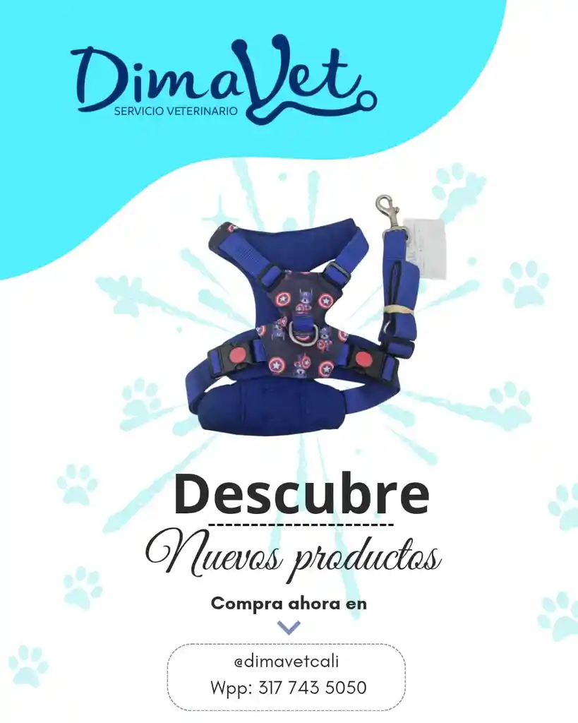 Pechera Capitan America Talla M