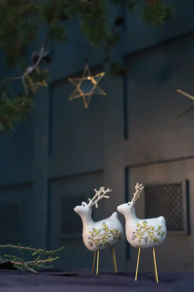 Set Renos Blanco Razz