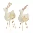 Set Renos Blanco Razz