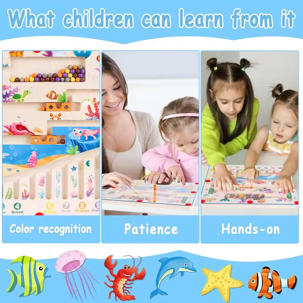Laberinto Magnético Peces De Color Y Números Montessori