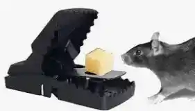 Trampa Para Ratas Y Ratones Plastica Cocodrilo