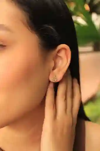 Arete-topo Serpiente Circones Rodio