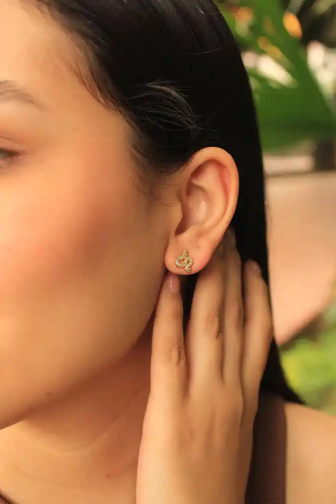 Arete-topo Serpiente Circones Rodio