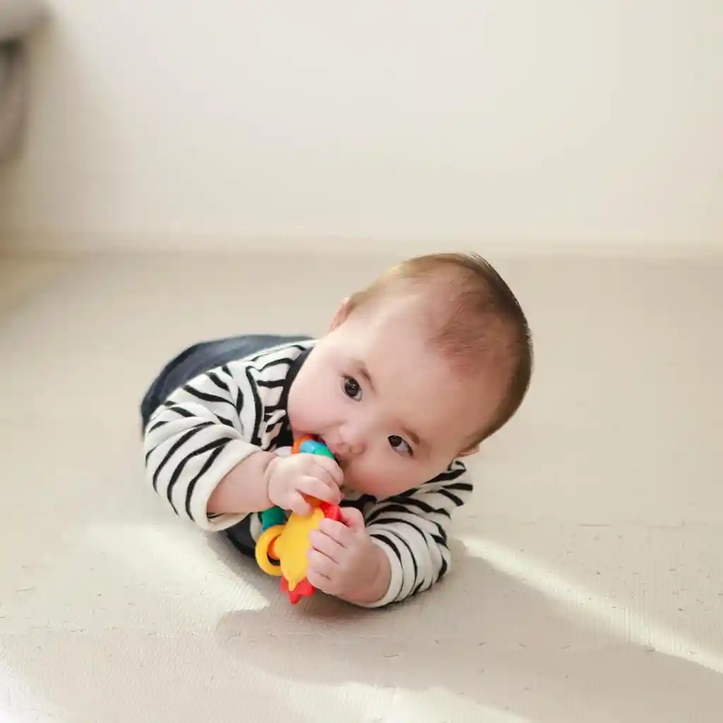 Juguete Sensorial Para Bebés Mordedor Y Sonajero León