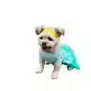 Disfraz De Princesa Mascota