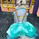 Disfraz De Princesa Mascota