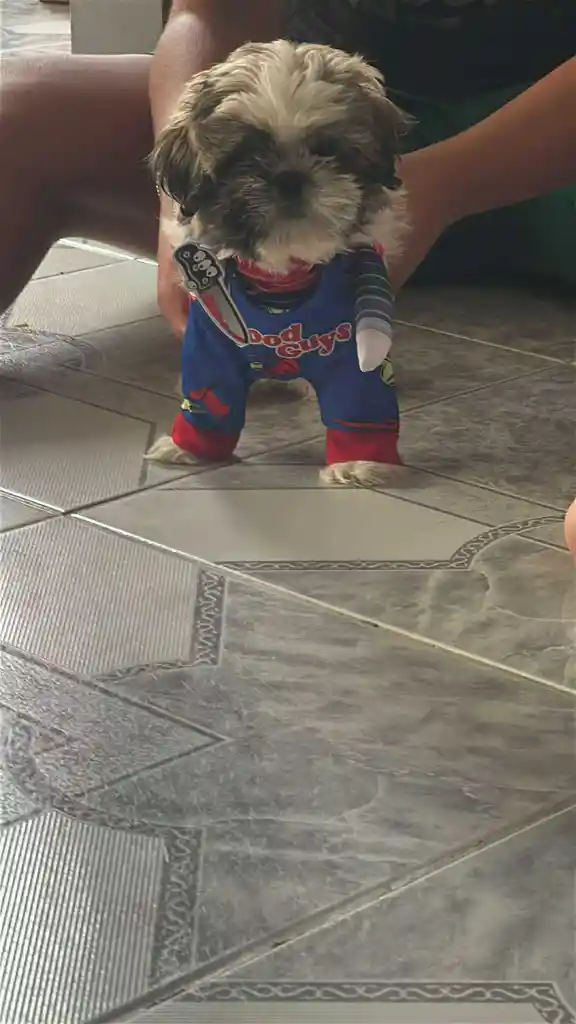 Disfraz De Chucky Para Mascotas
