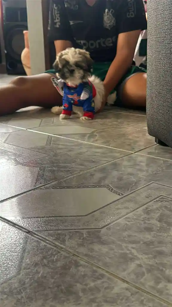 Disfraz De Chucky Para Mascotas