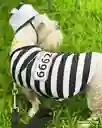 Disfraz De Preso Mascota