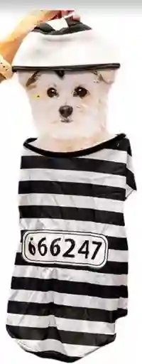 Disfraz De Preso Mascota