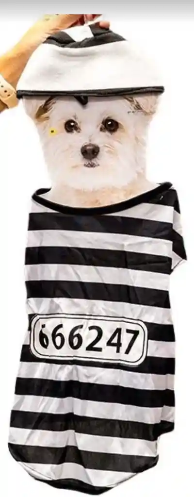 Disfraz De Preso Mascota