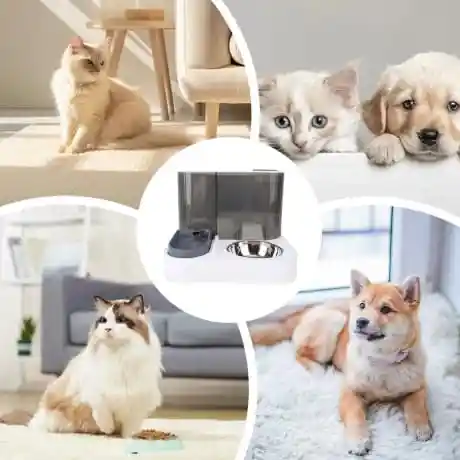 Fuente De Mascota Con Dispensario