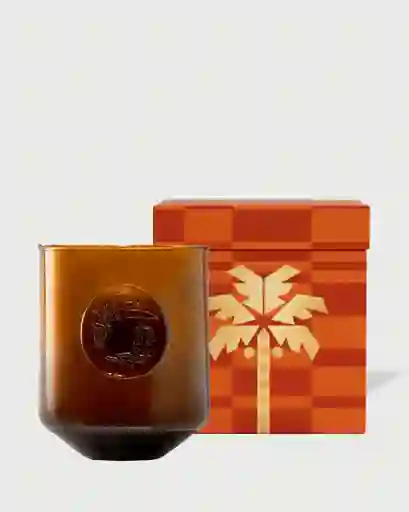 Vela Alegría Tropical Naranja
