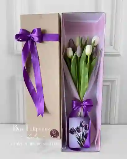 Caja De 10 Tulipanes Lila- Blanco