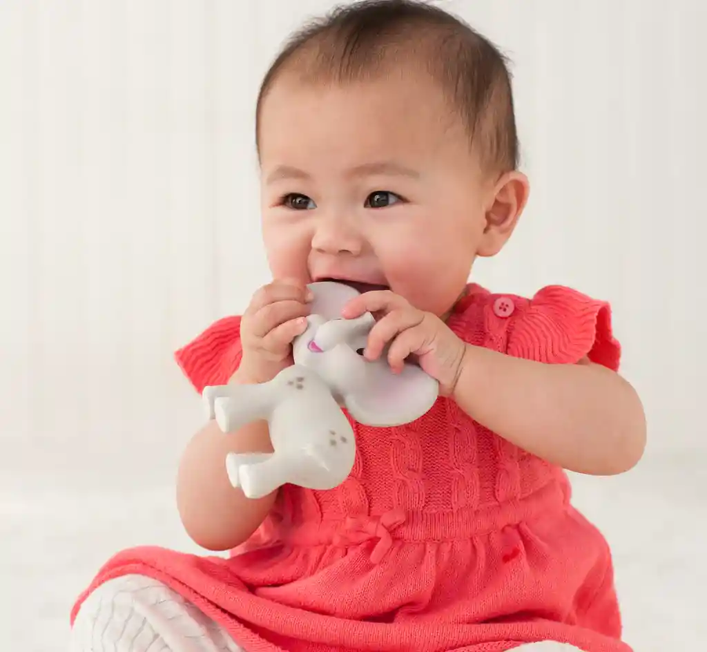 Juguete Sensorial Mordedor De Elefante Flexible Para Bebés