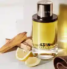 43n Paralel Parfum