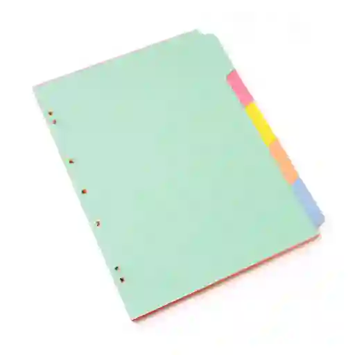 Separador Cartulina Tamaño Carta-105 X5 Colores