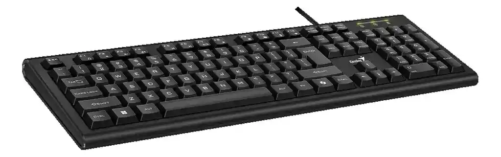 Teclado Genius Al Copilot Kb-113 Usb Negro Español