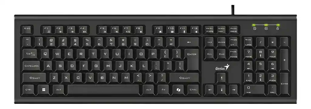 Teclado Genius Al Copilot Kb-113 Usb Negro Español