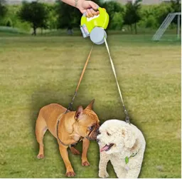 Strap Double Multicolor