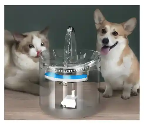 Fuente Para Gato Bebedero Para Mascotas Color Trasparente