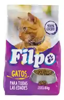 Filpo Adultos