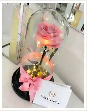 Rosa Preservada Rosada