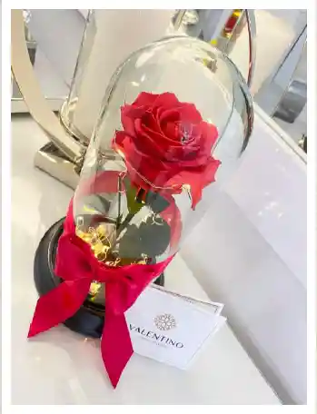 Rosa Preservada Rojo Claro