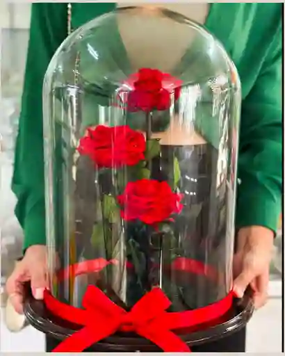Trio De Rosas Preservadas