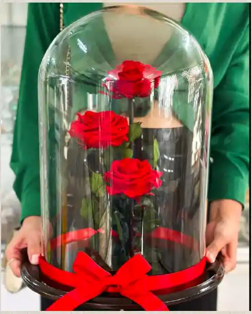 Trio De Rosas Preservadas