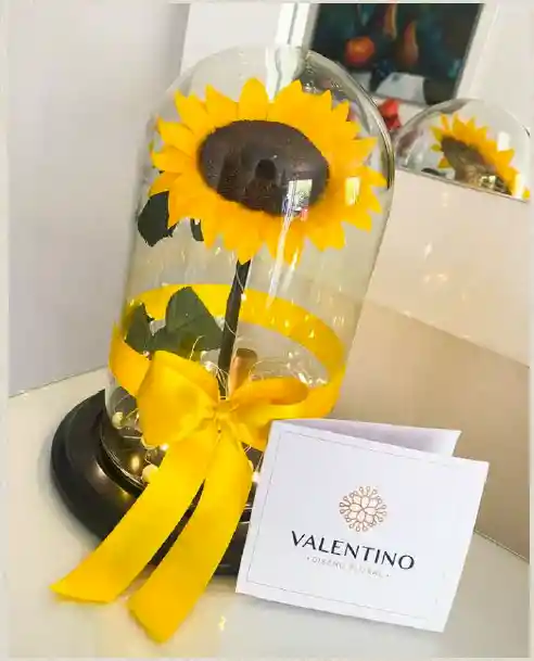 Girasol Preservado