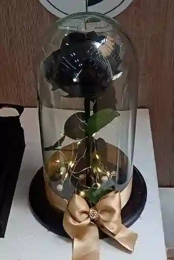 Rosa Preservada Negra De Turquía