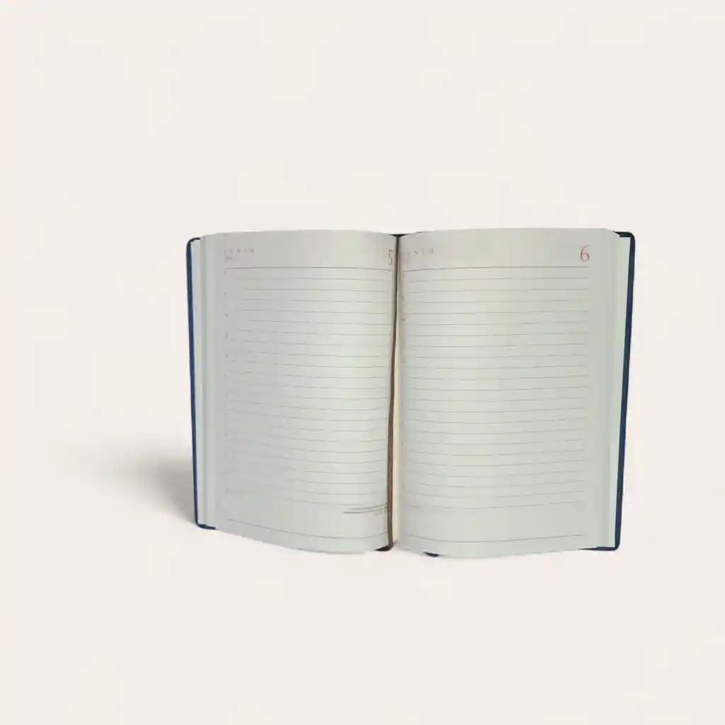 Agenda Planeador Permanente Grande – Organizador Con Horas Y Fechas ✨