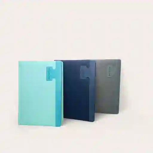 Agenda Planeador Permanente Grande – Organizador Con Horas Y Fechas ✨