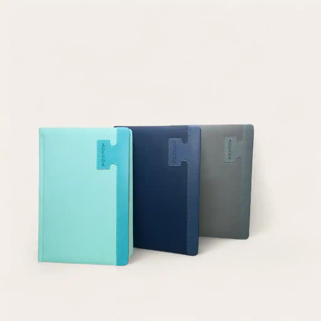 Agenda Planeador Permanente Grande – Organizador Con Horas Y Fechas ✨