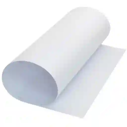Cartulina Blanca Pliego X2