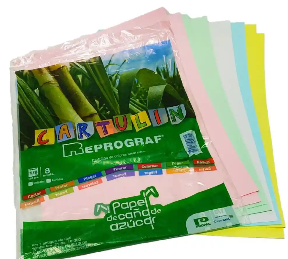 Cartulina Iris Colores Surtido X10