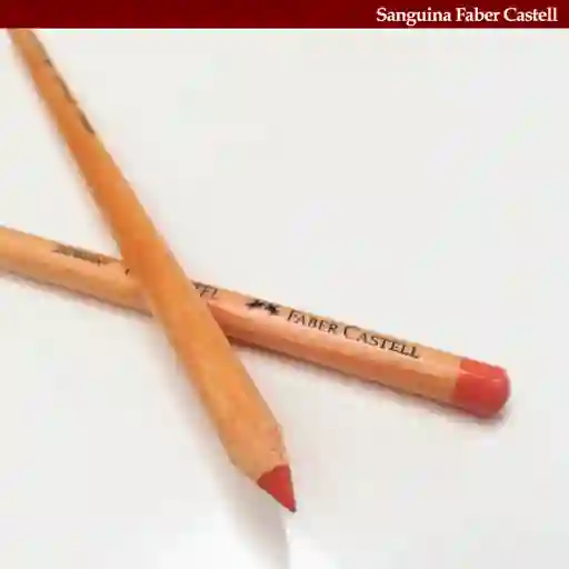 Lápiz Pastel Pitt Piel