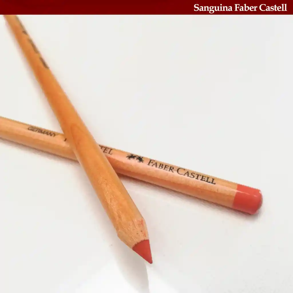 Lápiz Pastel Pitt Piel