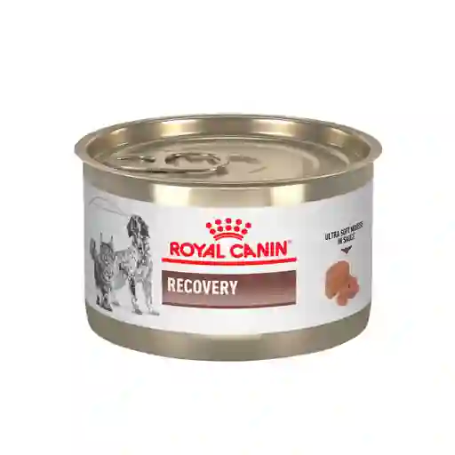 Royal Canin Recovery Lata A/d 145 Gr Para Perros Y Gatos
